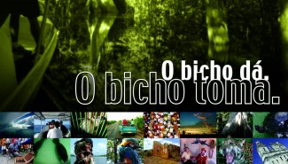 O bicho dá O bicho toma